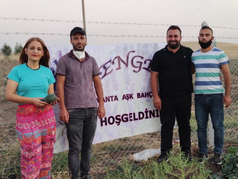 Diyarbakır'da 'Lavanta Aşk Bahçesi' açıldı
