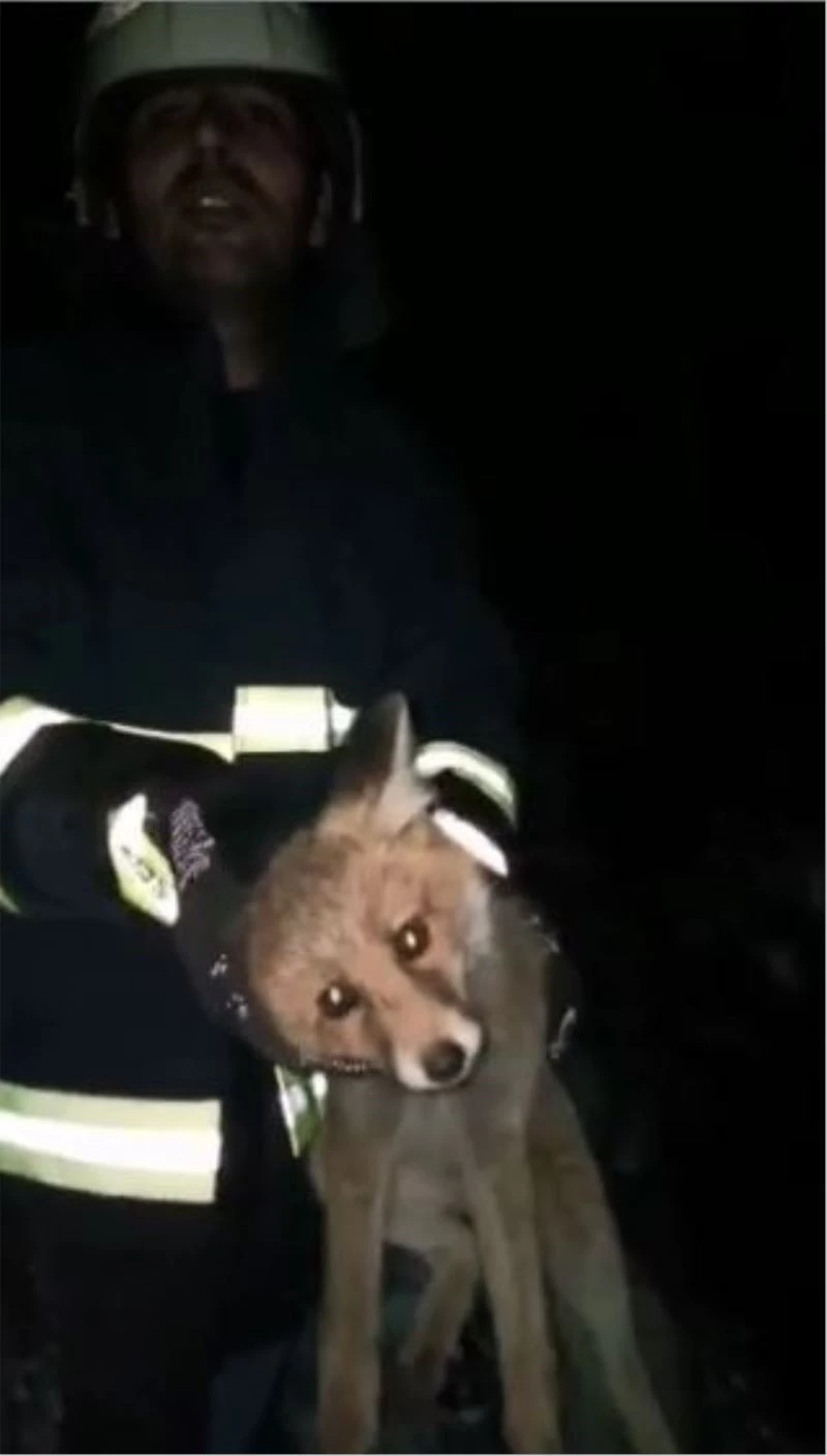 Eski taş değirmen kuyusuna düşen yavru tilkiyi itfaiye ekipleri kurtardı
