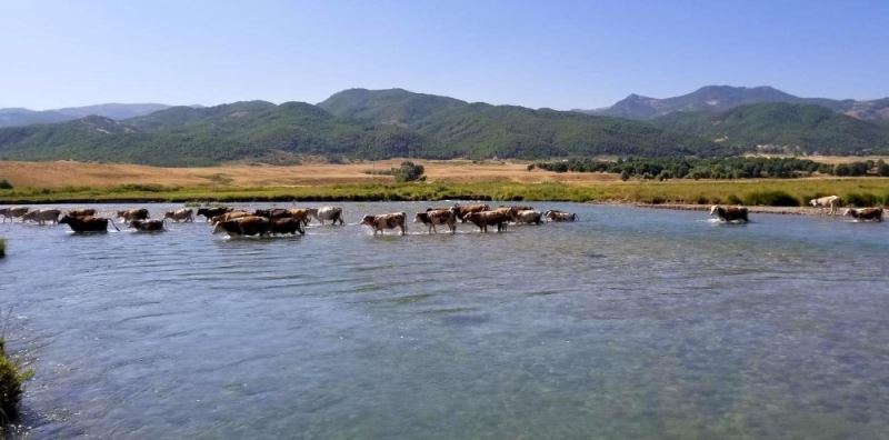 Doğu Anadolu’da hava sıcaklığı mevsim normallerinin üzerine çıktı
