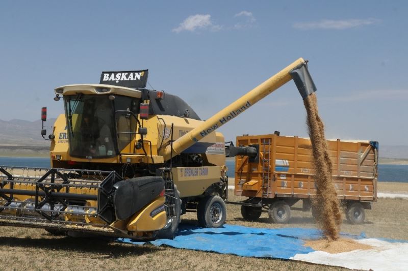 Bitlis’te 100 milyon TL’lik buğday hasılatı bekleniyor
