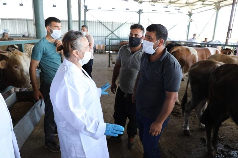 Müdür Sever hayvan pazarındaki son kontrolleri yaptı
