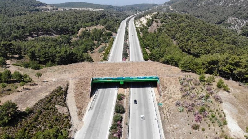 Çeşme otoyolundaki doğal yaşam köprüsünün yapımı tamamlandı
