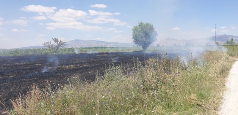 Ekin tarlasındaki yangına işçiler müdahale etti
