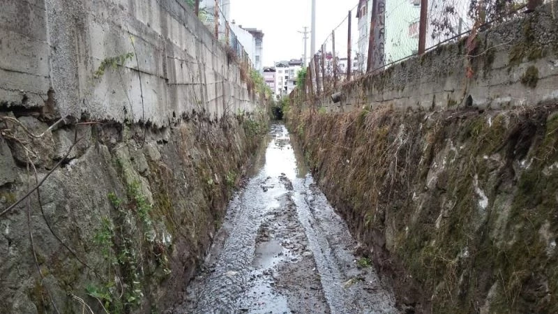 Fatsa’da derelerde taşkın önlemi
