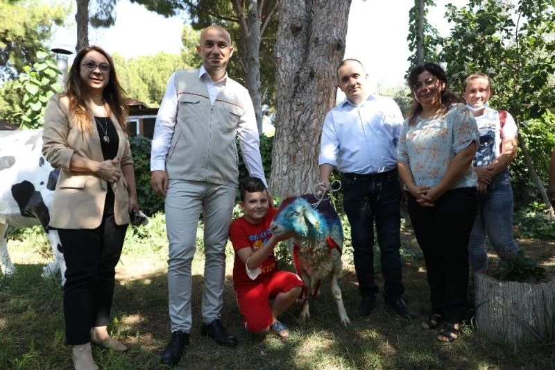 Hiç kurban kesemeyen vatandaş CİMER’den kurbanlık talep etti, Bakan Pakdemirli kurbanlık gönderdi
