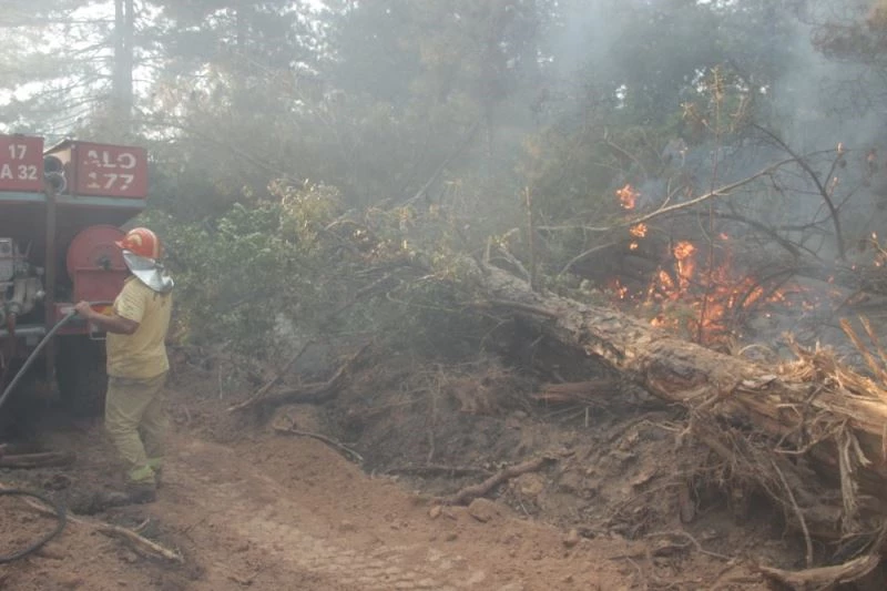 Yenice orman yangınına ağır iş makineleriyle müdahale ediliyor
