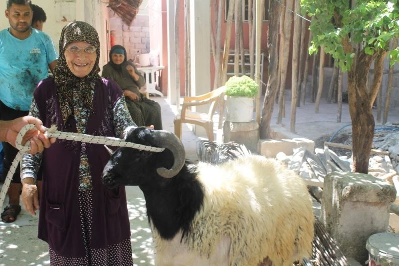Rahme Teyze, polisin hediye ettiği kurbanı gözyaşlarıyla kestirdi
