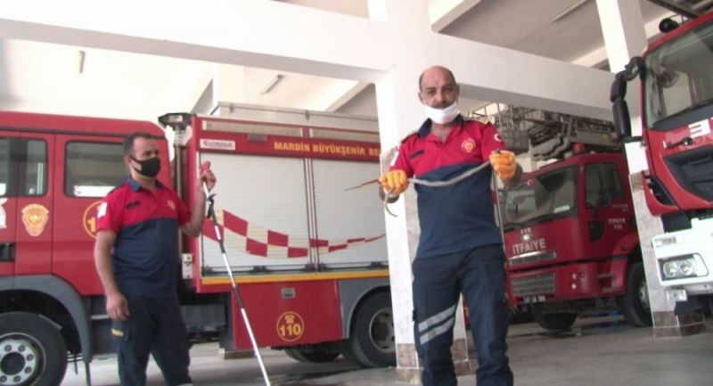 Mardin’in ’yılan terbiyecisi’ iş başında
