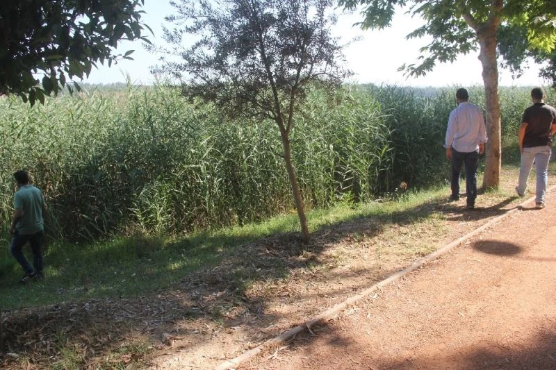 Sosyal medyada canlı yayından sonra intihar etti
