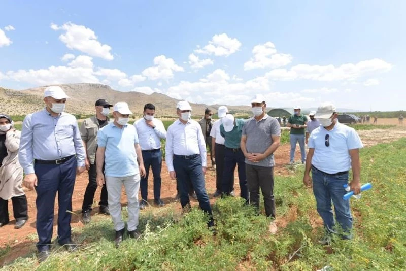 Yeşilyurt Belediyesi’nin tarımsal üretimi beğenildi
