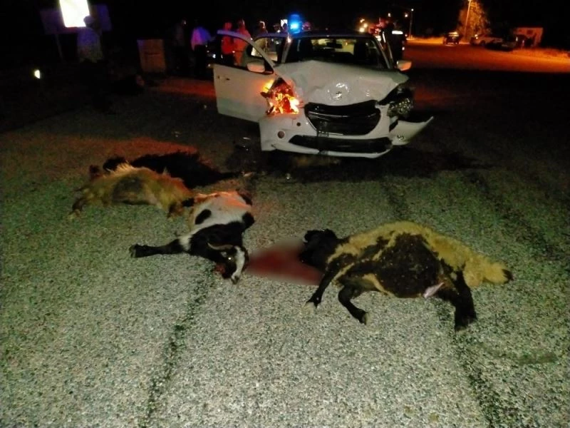 Otomobilin altında kalan kuzusu için gözyaşlarına boğuldu
