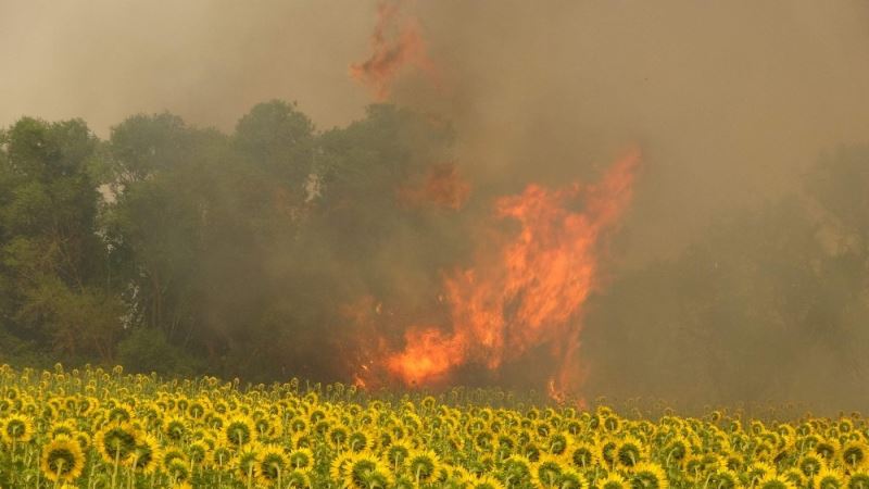 Çanakkale’deki poyraz orman yangınına müdahaleyi güçleştiriyor...Kumköy de boşaltılıyor
