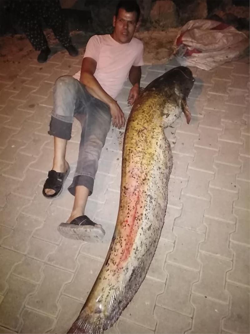 Oltayla 48 kilogramlık yayın balığı yakaladı
