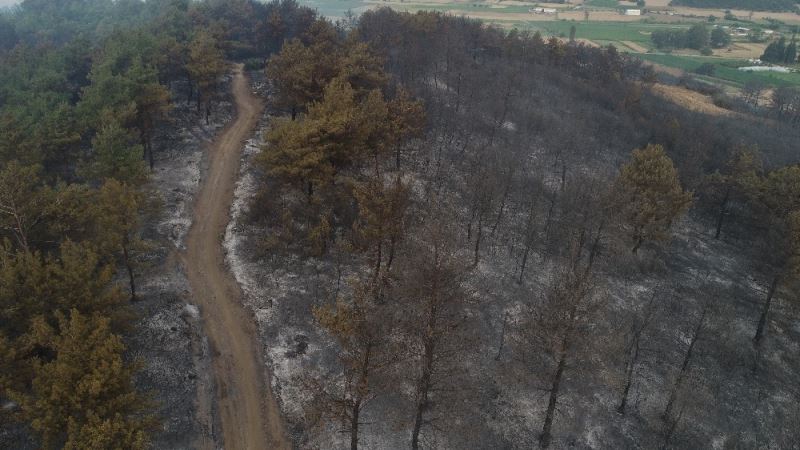 Yangının boyutu gün ağırınca ortaya çıktı
