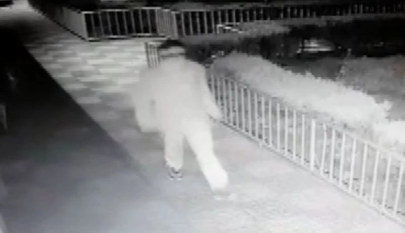 Kamerayı kırdığını zannetti, kendisini kayda aldı
