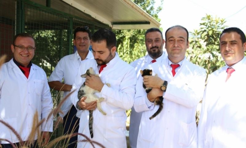Aydın Veteriner Hekimleri Odası Başkanı Şahin, “Hayvan sevgisi şifadır”
