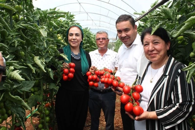 Vekil sıkı pazarlık yaptı, domates 2 lira 80 kuruşu gördü
