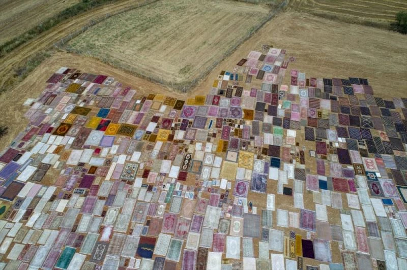 Tarlalarda güneşte bekletilen eski halılar yurt dışından ilgi görüyor