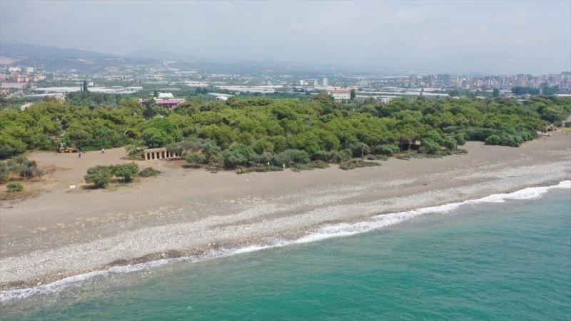 Erdemli Talat Göktepe Tabiat Parkın