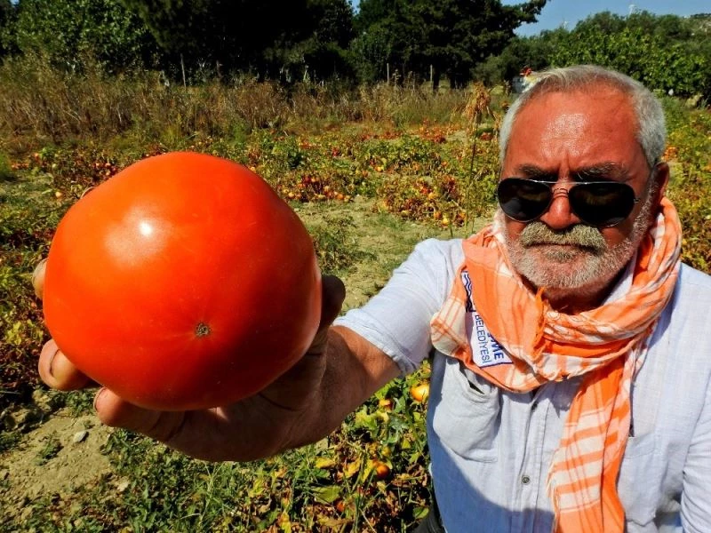 Dededen toruna tohum yaşatma çabası
