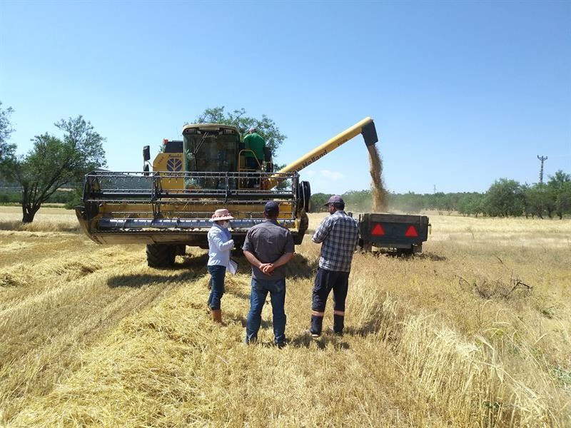 Isparta’da yüzde 3’ü aşan kayıplarda biçerdöverlere yaptırım uygulanacak
