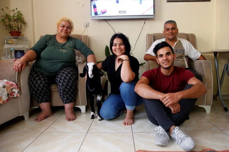 Annesiz kalan keçi yavrusu 