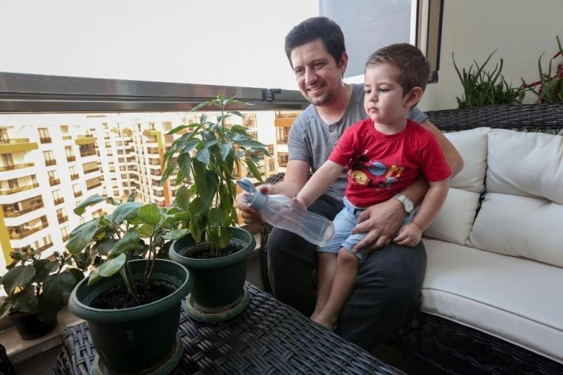 Nilüfer’de dağıtılan fideler ürünlerini verdi
