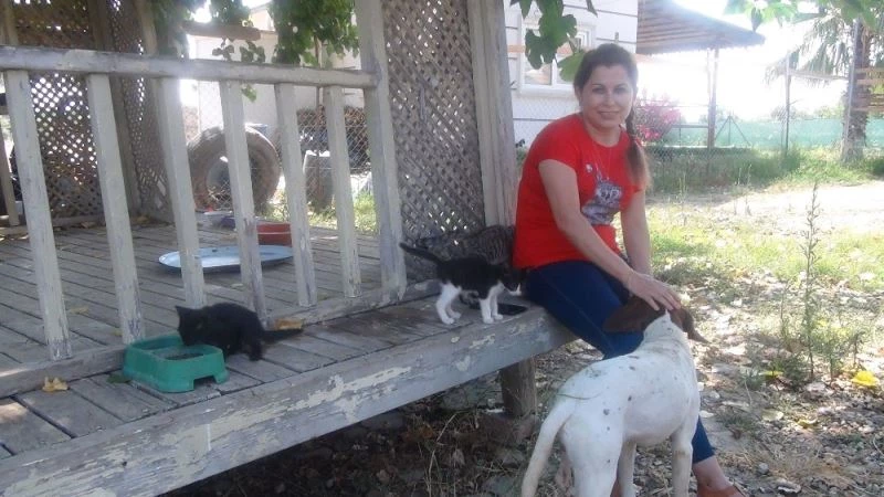 Gönüllü olarak sahiplendiği sokak hayvanlarını klimalı, vantilatörlü odalarda besliyor
