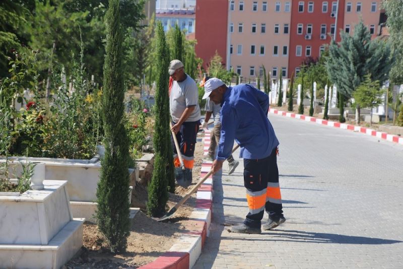 Karaman Belediyesi, şehir mezarlığına 500 adet kara selvi ağacı dikti
