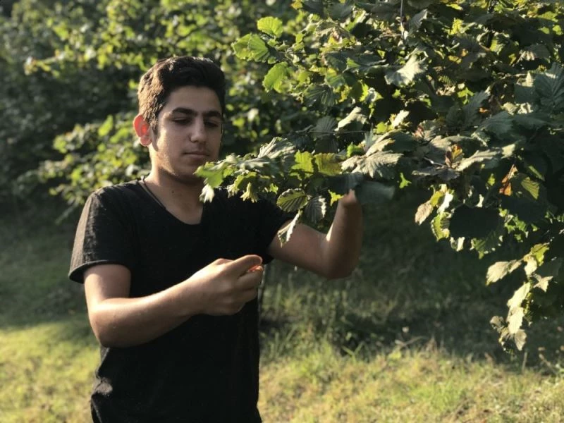 Bayramı evlerine bin 285 kilometre uzaklıktaki fındık tarlalarında kutladılar
