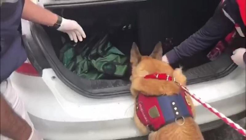 Uyuşturucuyu torbacılara dağıtan zehir taciri kıskıvrak yakalandı
