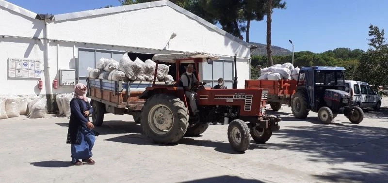 Osmancık TMO, haşhaş kabuğu alımına başladı
