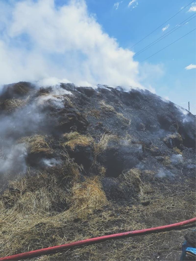 Kars’ta ot yangını! 10 ton ot yanarak kül oldu
