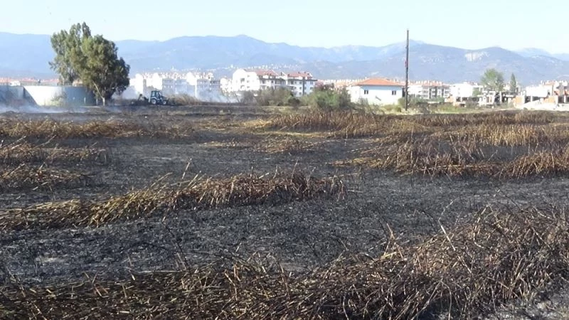 Göçebe kuşların yuvası küle döndü
