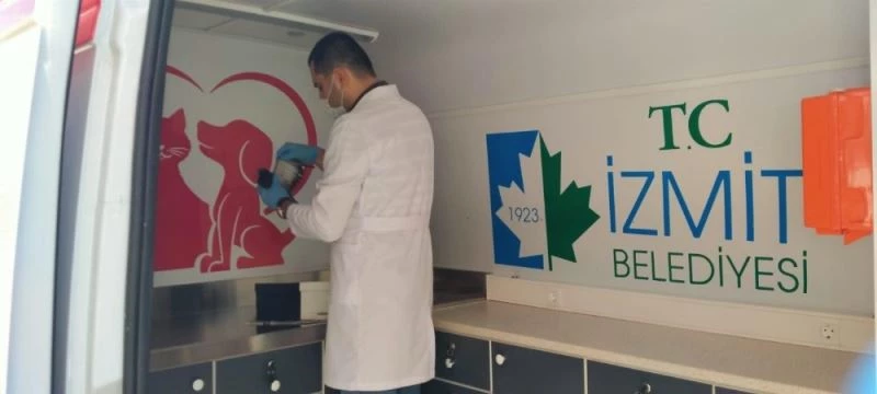 İzmit’te yaralanan güvercinin yardımına belediye ekipleri koştu
