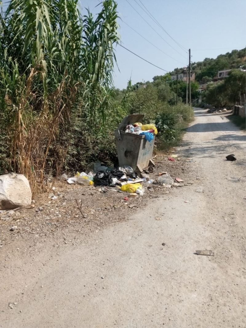Milas’ta toplanmayan çöpler isyan ettirdi
