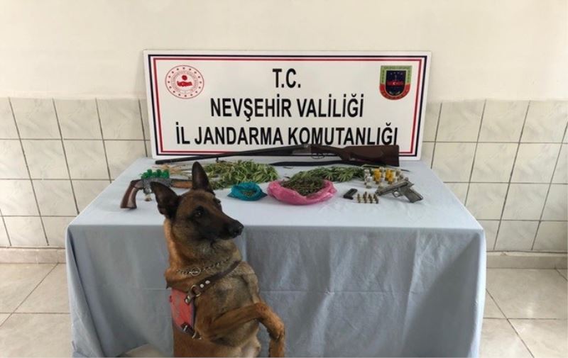 Jandarma ekipleri Gülşehir’de uyuşturucu operasyonu yaptı
