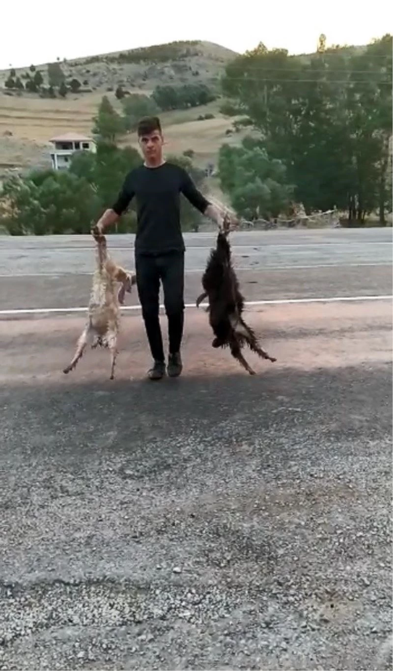 Besicinin hız ve alt geçit isyanı
