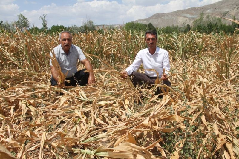 Erzincanlı çiftçilerin feryadı: 