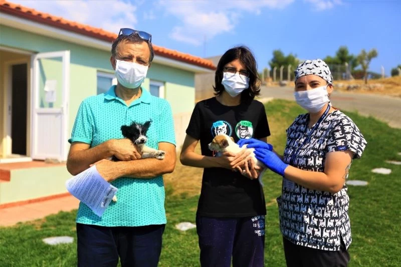 Satın alma, sahiplen
