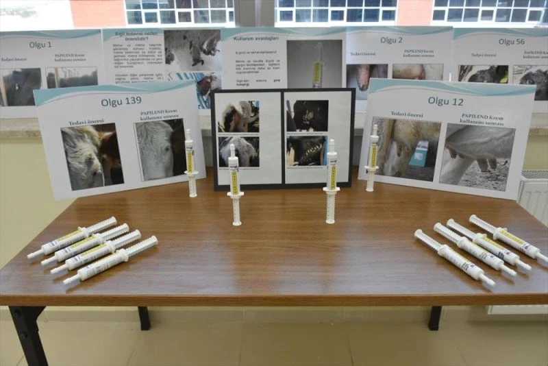 Hayvanlarda süt verimini etkileyen meme siğillerine karşı geliştirilen yerli merhemin üretimine başlandı