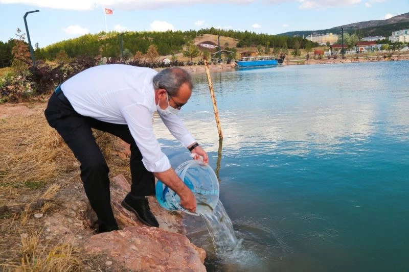 Üniversite içerisindeki göletin yosunlarını balıklarla temizlenecek
