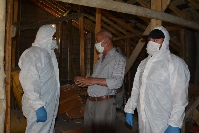 Hakkari’de yarasa denetimi
