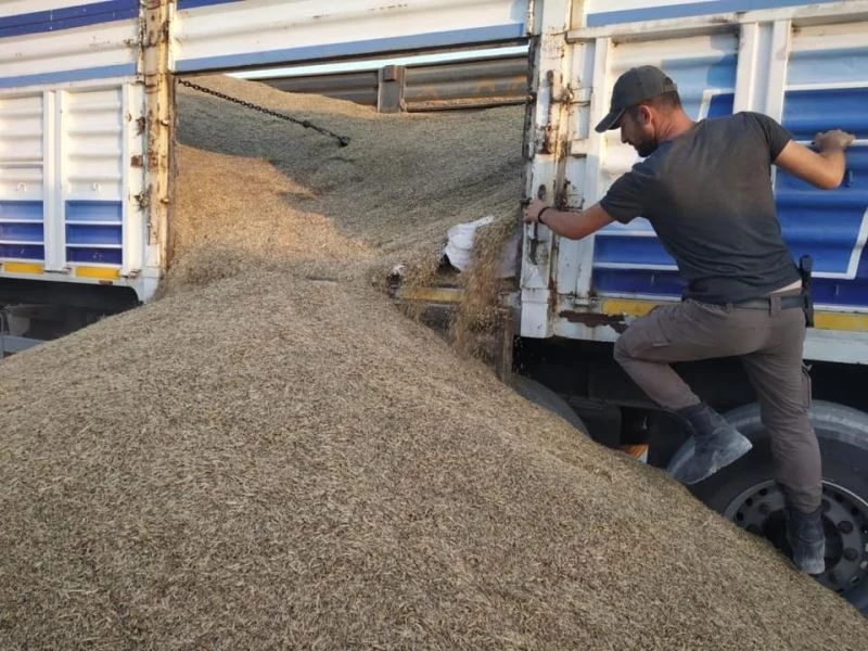 Gümrükte bin 810 paket kaçak sigara ele geçirildi
