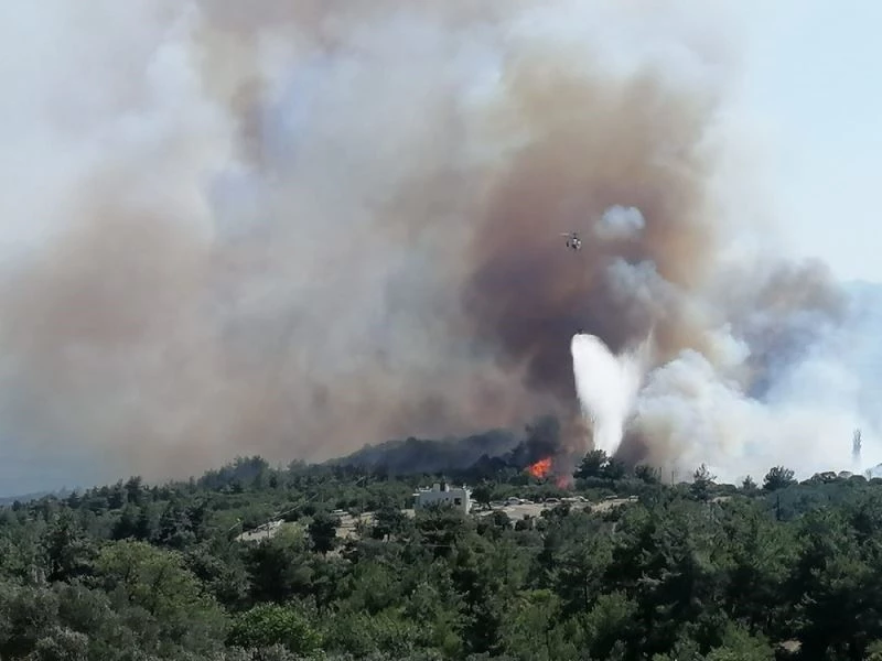 Kozlu köyündeki yangın kontrol altında
