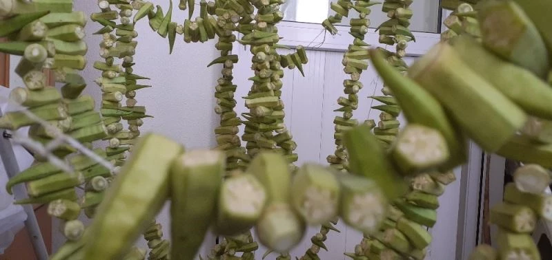 Evlerde kışlık bamya hazırlığı
