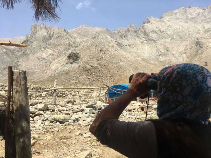 Bolkar Dağları göçer Yörüklere emanet
