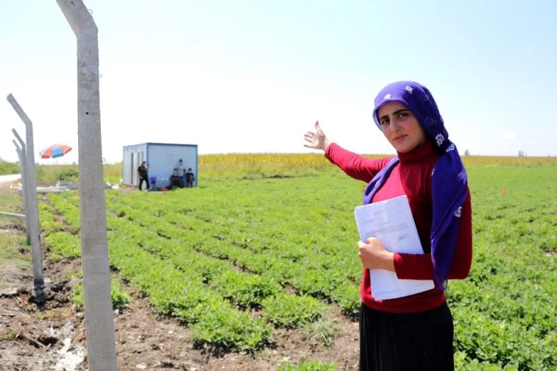 Zübeyde’nin çiftçilik hayalini kabusa çevirdiler
