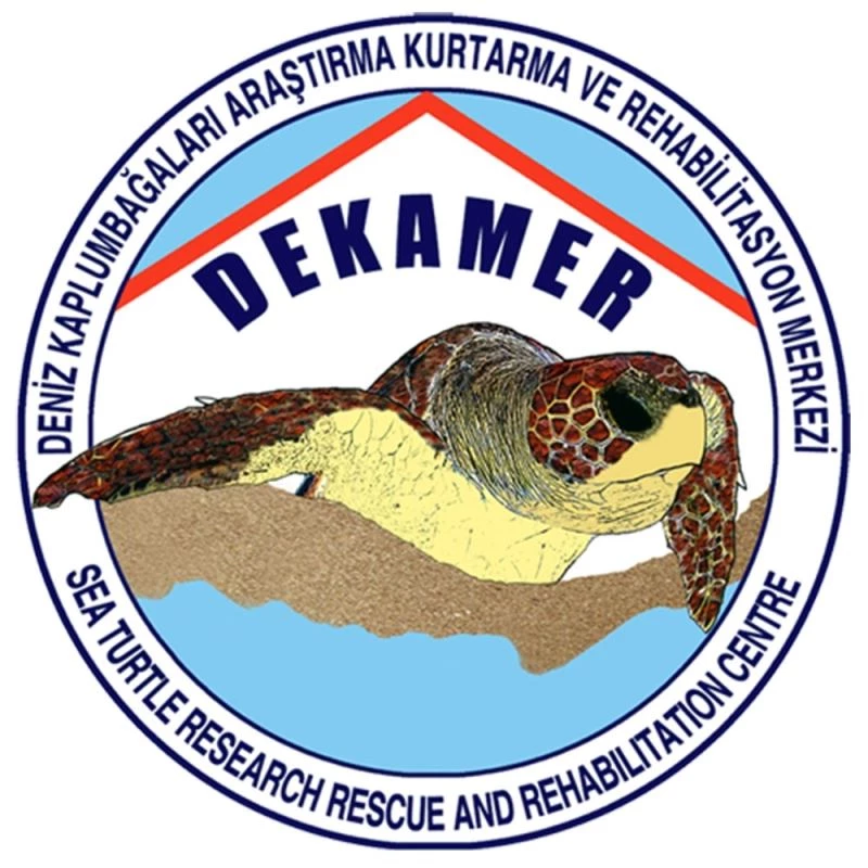 DEKAMER’den Caretta Caretta açıklaması
