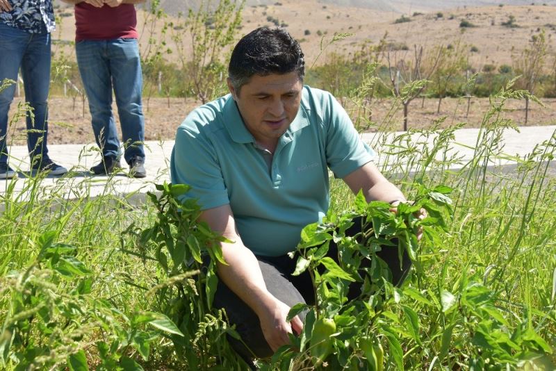 Başkan Acar hafta sonunu çalışanlarla sahada geçirdi
